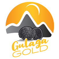 Gulaga-Gold-Large_FA