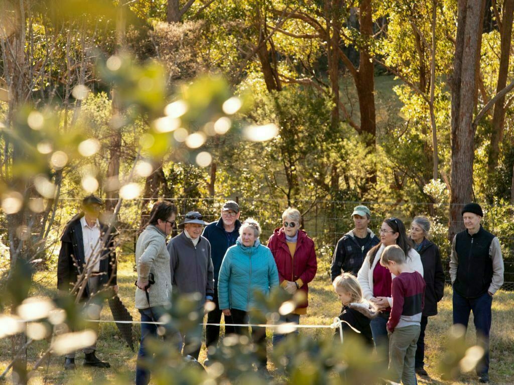 group of people truffle hunting