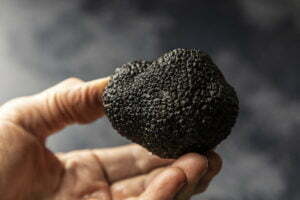 Gulaga Gold black Perigord truffles