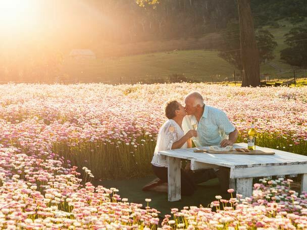 Couple Kissing in beautiful scenery at Mountain View Farm