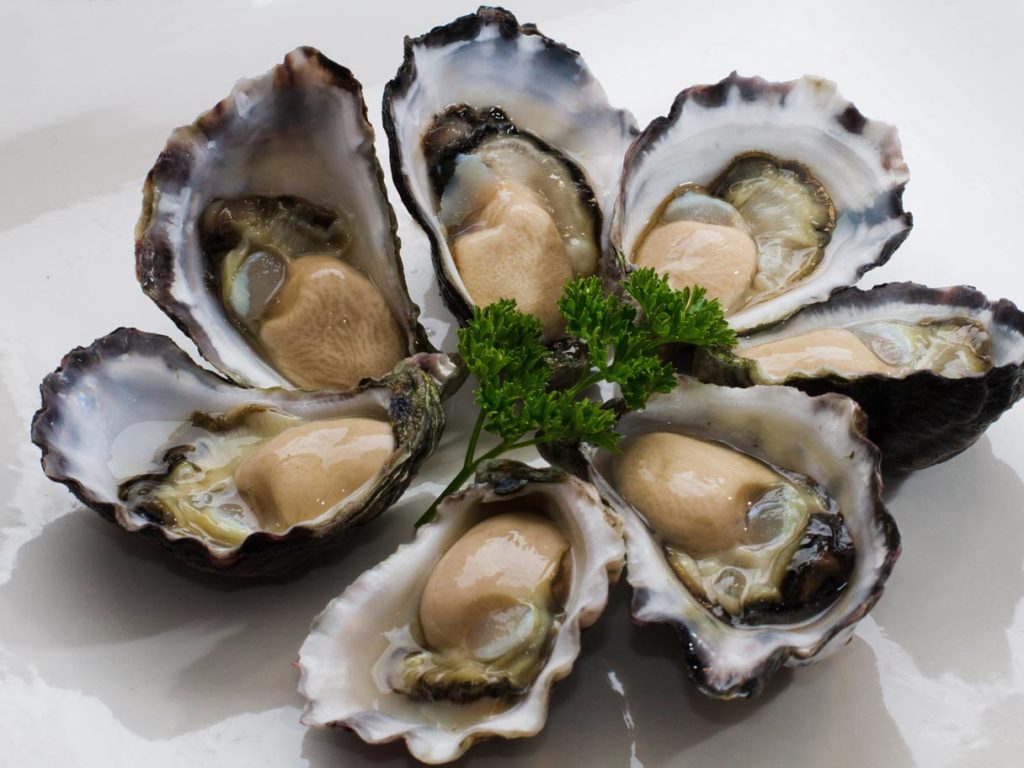 Big juicy and fresh oysters with parsley in the middle served at Tathra oysters