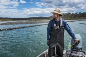 man driver oyster punt